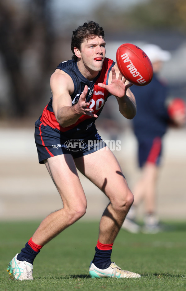 VFL 2024 Round 13 - Coburg v Northern Bullants - A-51233774