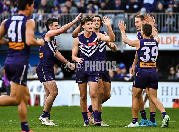 AFL 2024 Round 15 - Fremantle v Gold Coast - A-51233832