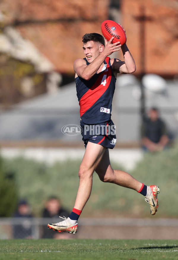 VFL 2024 Round 13 - Coburg v Northern Bullants - A-51236392