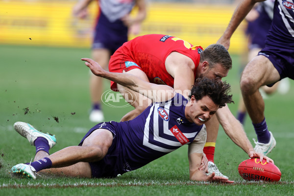 AFL 2024 Round 15 - Fremantle v Gold Coast - A-51236465
