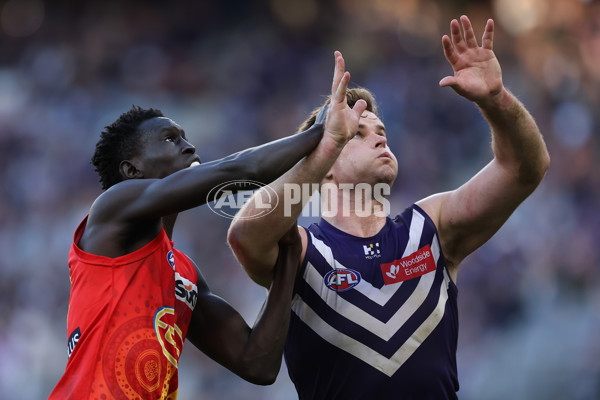 AFL 2024 Round 15 - Fremantle v Gold Coast - A-51237997