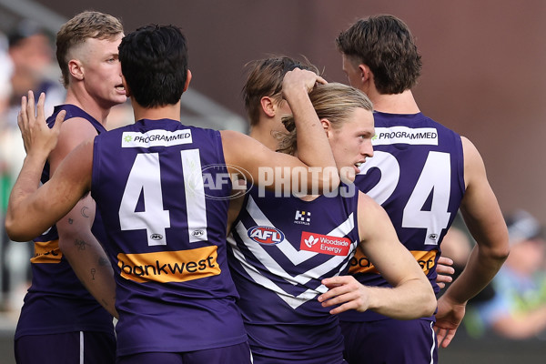 AFL 2024 Round 15 - Fremantle v Gold Coast - A-51238988