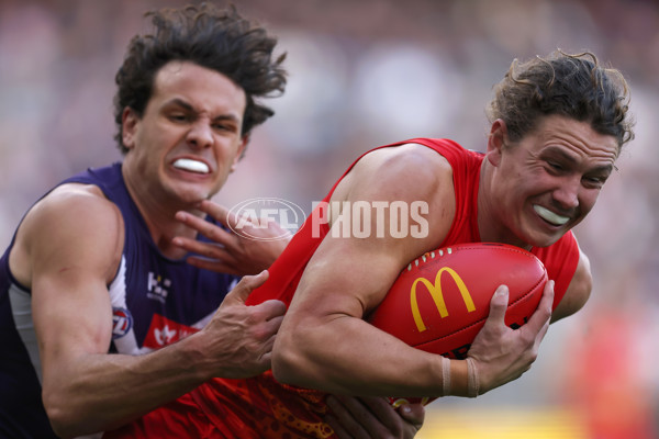 AFL 2024 Round 15 - Fremantle v Gold Coast - A-51238990