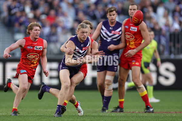AFL 2024 Round 15 - Fremantle v Gold Coast - A-51240559