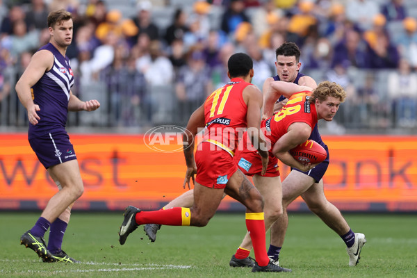 AFL 2024 Round 15 - Fremantle v Gold Coast - A-51240572