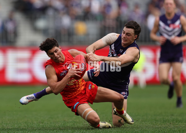 AFL 2024 Round 15 - Fremantle v Gold Coast - A-51240575