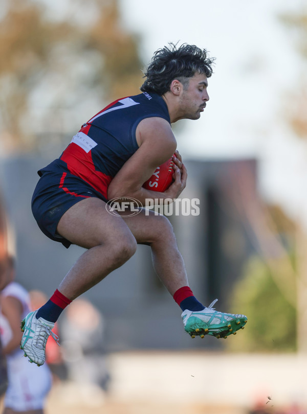 VFL 2024 Round 13 - Coburg v Northern Bullants - A-51240620