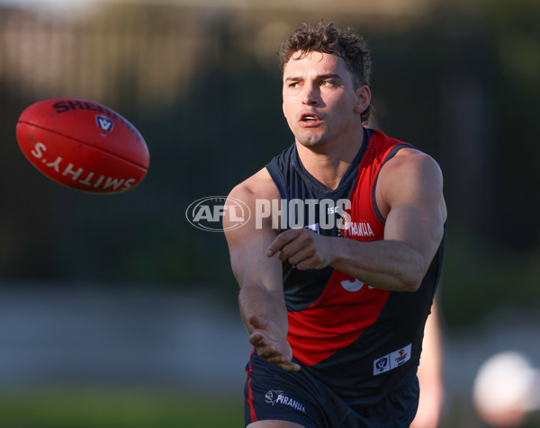 VFL 2024 Round 13 - Coburg v Northern Bullants - A-51241354