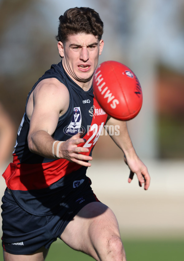 VFL 2024 Round 13 - Coburg v Northern Bullants - A-51241355