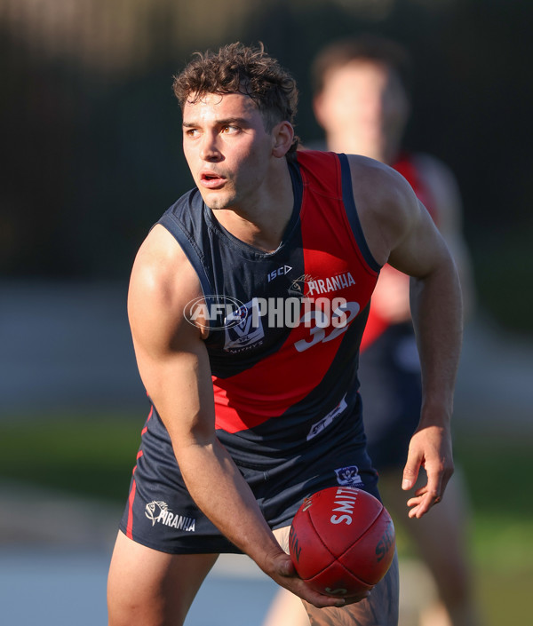 VFL 2024 Round 13 - Coburg v Northern Bullants - A-51241358