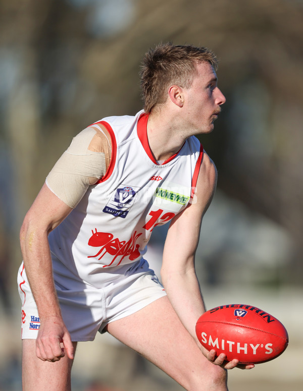 VFL 2024 Round 13 - Coburg v Northern Bullants - A-51241371