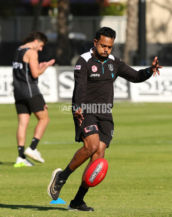 AFL 2024 Training - Port Adelaide 240624 - A-51244334