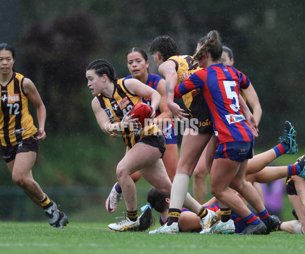 VFLW 2024 First Elimination Final - Box Hill v Port Melbourne - A-51418319