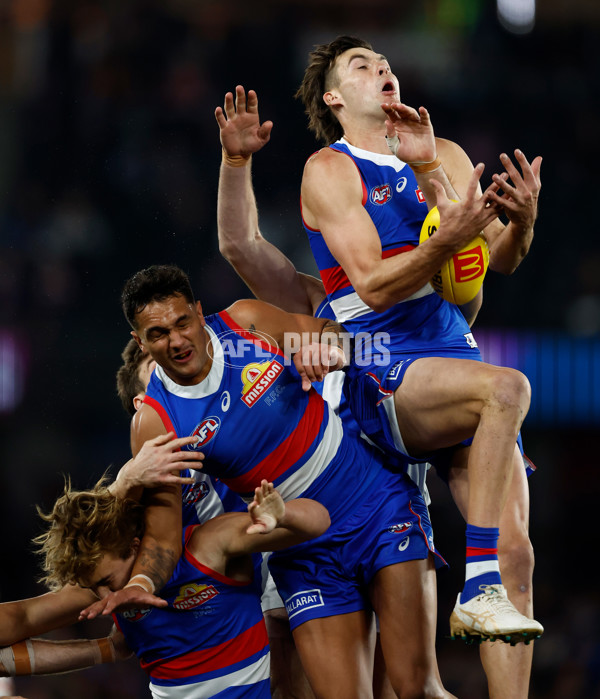 AFL 2024 Round 16 - North Melbourne v Western Bulldogs - A-51420869