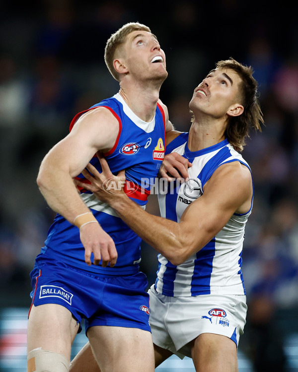 AFL 2024 Round 16 - North Melbourne v Western Bulldogs - A-51420884