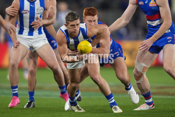 AFL 2024 Round 16 - North Melbourne v Western Bulldogs - A-51420907