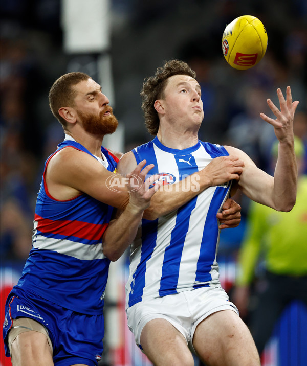 AFL 2024 Round 16 - North Melbourne v Western Bulldogs - A-51421059