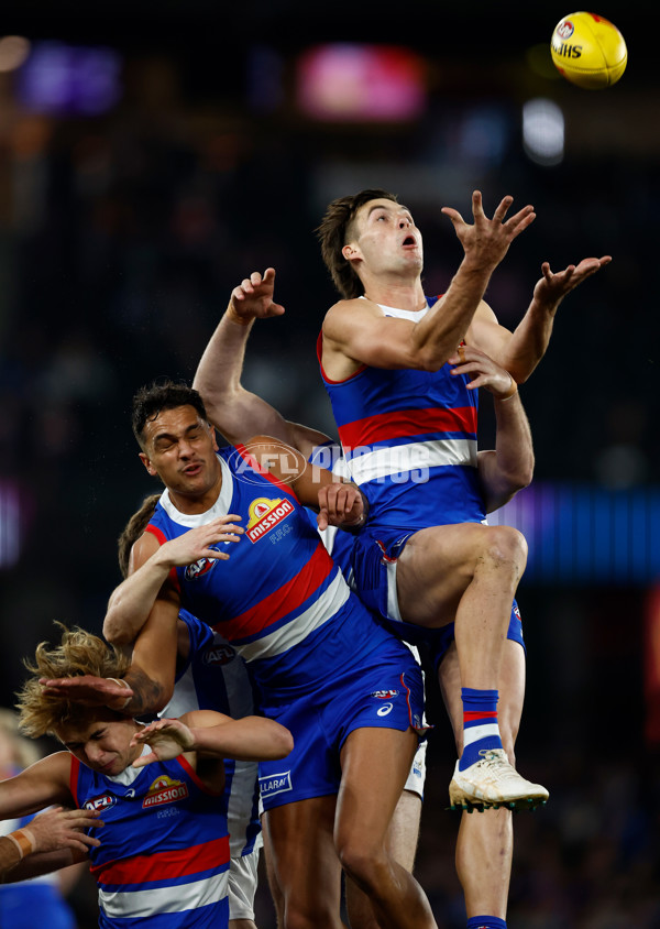 AFL 2024 Round 16 - North Melbourne v Western Bulldogs - A-51421064