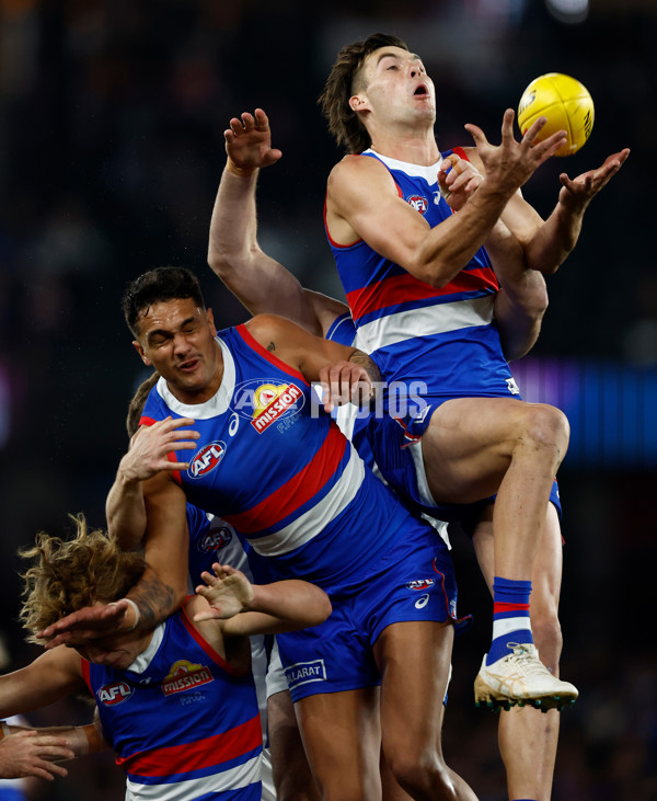 AFL 2024 Round 16 - North Melbourne v Western Bulldogs - A-51421066