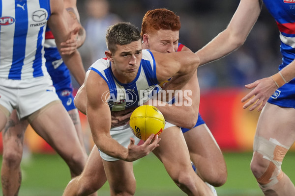 AFL 2024 Round 16 - North Melbourne v Western Bulldogs - A-51421104