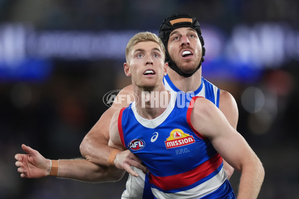 AFL 2024 Round 16 - North Melbourne v Western Bulldogs - A-51423827