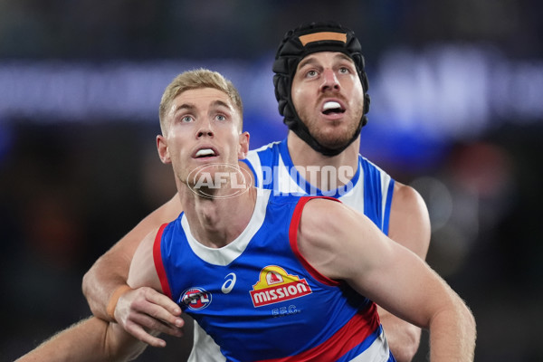 AFL 2024 Round 16 - North Melbourne v Western Bulldogs - A-51423828