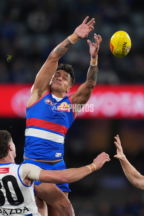AFL 2024 Round 16 - North Melbourne v Western Bulldogs - A-51424140