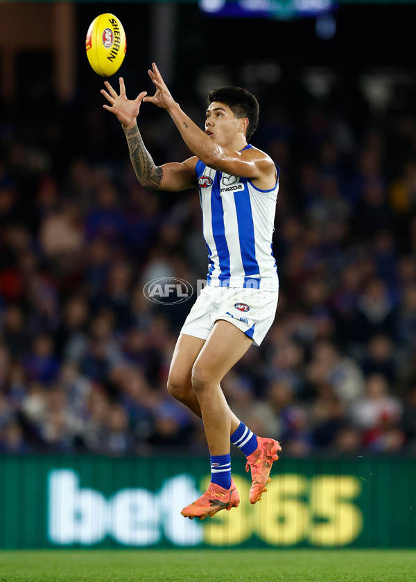 AFL 2024 Round 16 - North Melbourne v Western Bulldogs - A-51426532