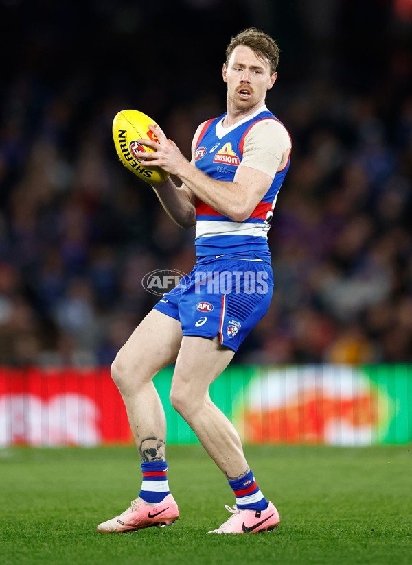 AFL 2024 Round 16 - North Melbourne v Western Bulldogs - A-51426537
