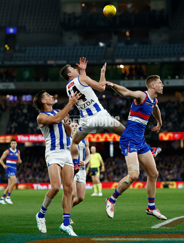 AFL 2024 Round 16 - North Melbourne v Western Bulldogs - A-51426564