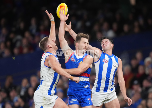 AFL 2024 Round 16 - North Melbourne v Western Bulldogs - A-51426689