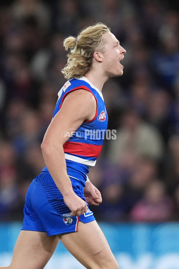 AFL 2024 Round 16 - North Melbourne v Western Bulldogs - A-51426694