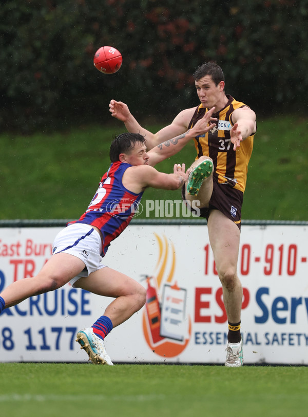 VFL 2024 Round 14 - Box Hill v Port Melbourne - A-51426702