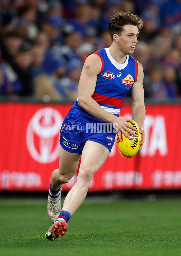AFL 2024 Round 16 - North Melbourne v Western Bulldogs - A-51426711