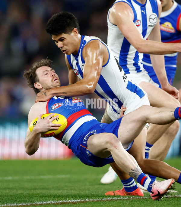 AFL 2024 Round 16 - North Melbourne v Western Bulldogs - A-51426745