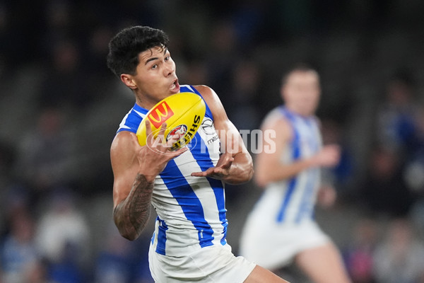 AFL 2024 Round 16 - North Melbourne v Western Bulldogs - A-51429233