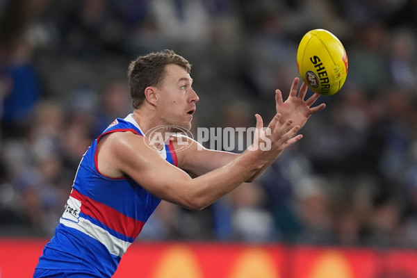 AFL 2024 Round 16 - North Melbourne v Western Bulldogs - A-51429235