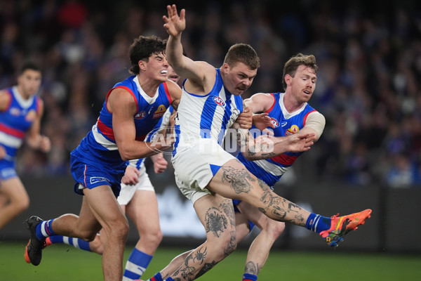 AFL 2024 Round 16 - North Melbourne v Western Bulldogs - A-51429244