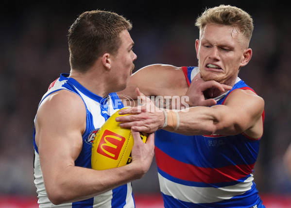 AFL 2024 Round 16 - North Melbourne v Western Bulldogs - A-51429249