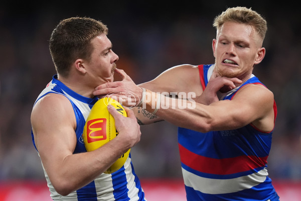 AFL 2024 Round 16 - North Melbourne v Western Bulldogs - A-51429250