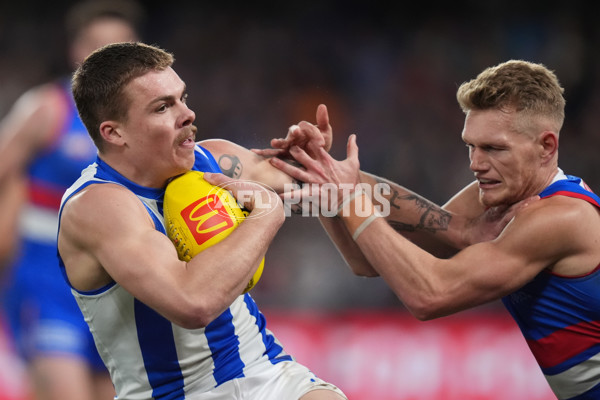 AFL 2024 Round 16 - North Melbourne v Western Bulldogs - A-51429251