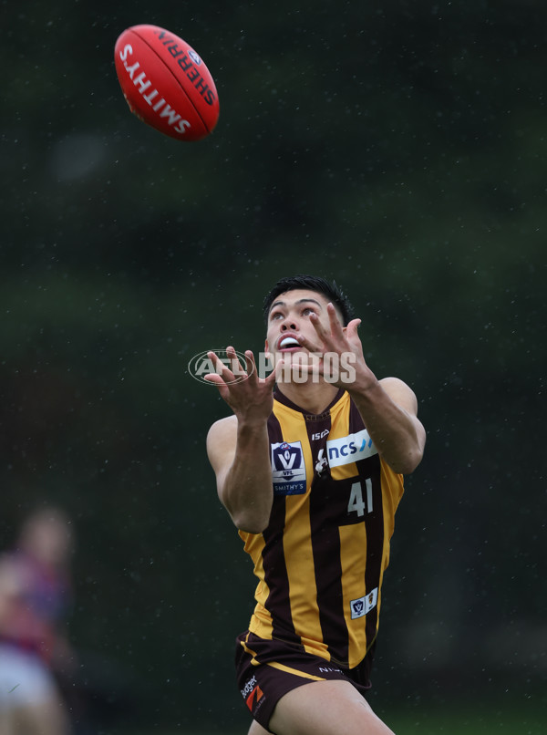 VFL 2024 Round 14 - Box Hill v Port Melbourne - A-51429297