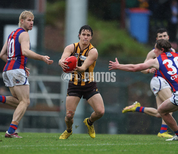 VFL 2024 Round 14 - Box Hill v Port Melbourne - A-51429300