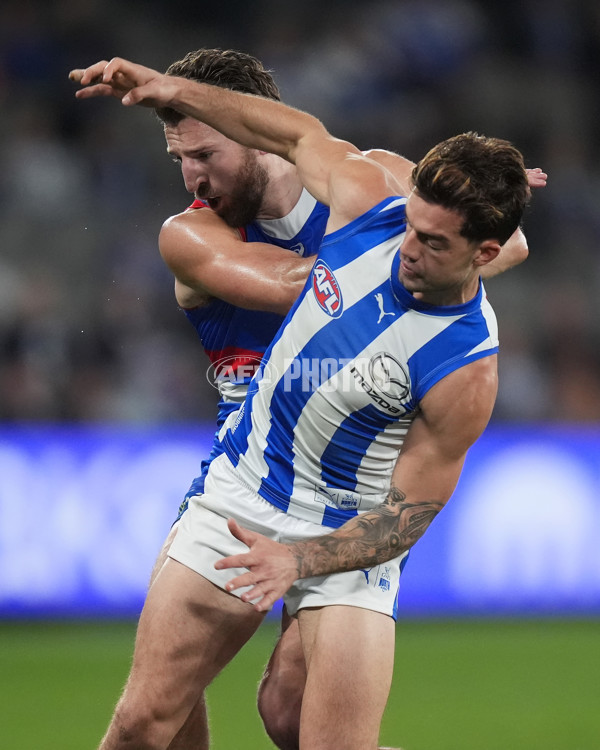 AFL 2024 Round 16 - North Melbourne v Western Bulldogs - A-51429617