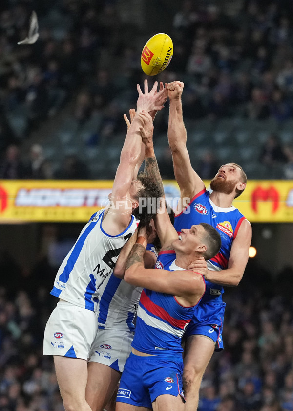 AFL 2024 Round 16 - North Melbourne v Western Bulldogs - A-51429633