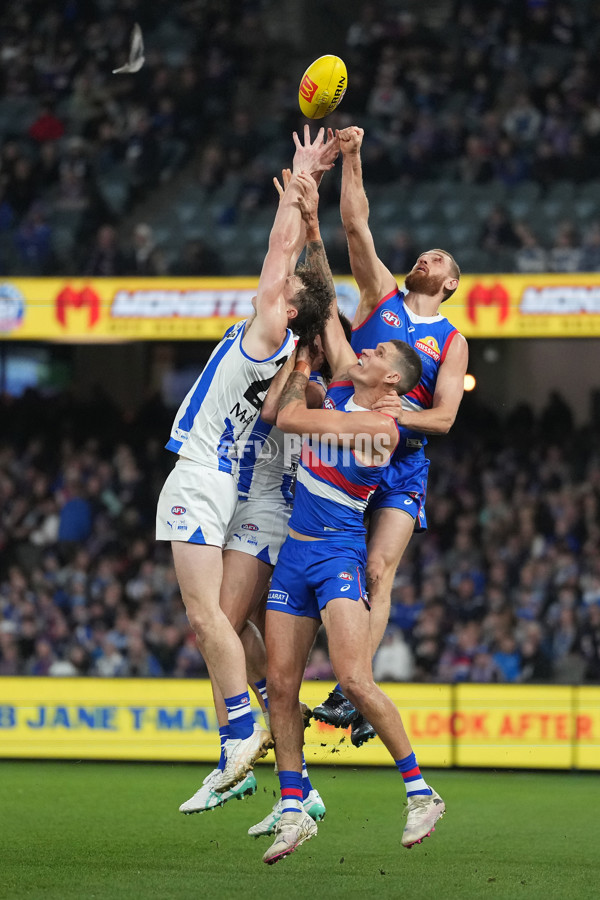 AFL 2024 Round 16 - North Melbourne v Western Bulldogs - A-51429636
