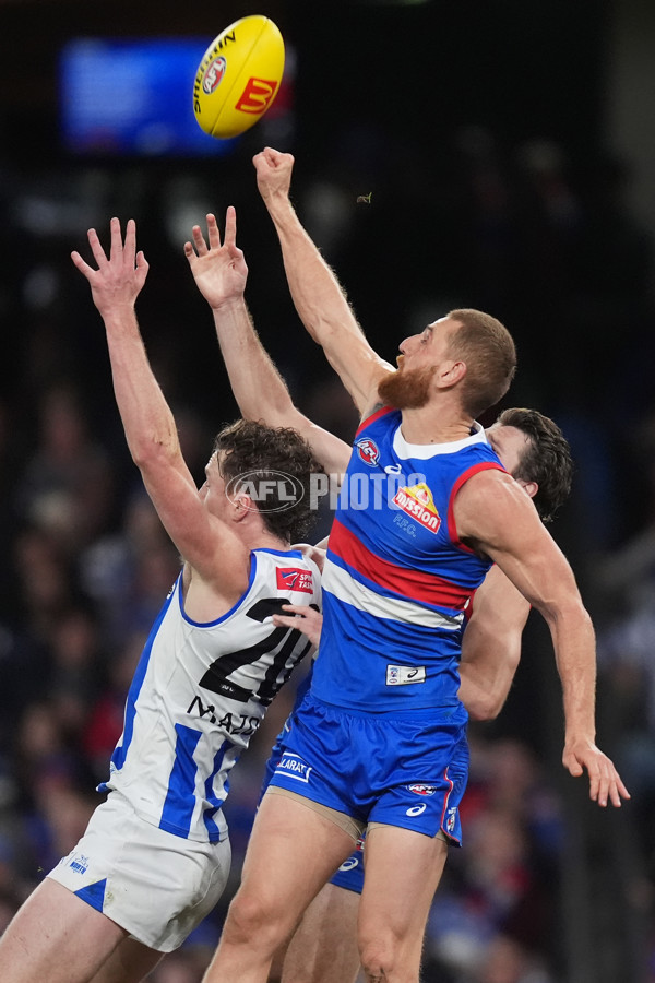 AFL 2024 Round 16 - North Melbourne v Western Bulldogs - A-51429642