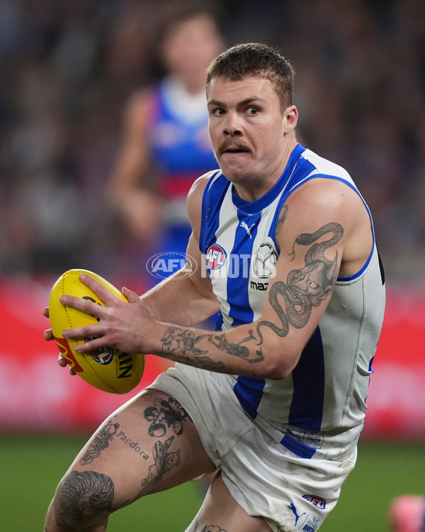 AFL 2024 Round 16 - North Melbourne v Western Bulldogs - A-51429643