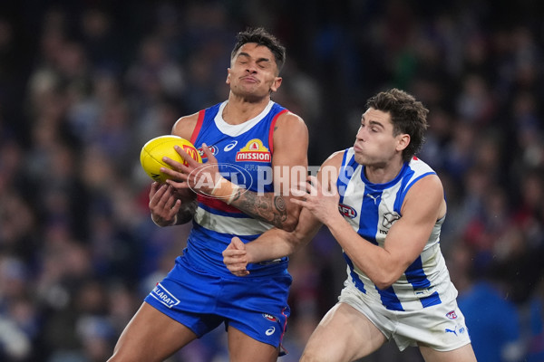 AFL 2024 Round 16 - North Melbourne v Western Bulldogs - A-51429702