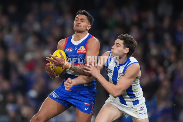 AFL 2024 Round 16 - North Melbourne v Western Bulldogs - A-51432242